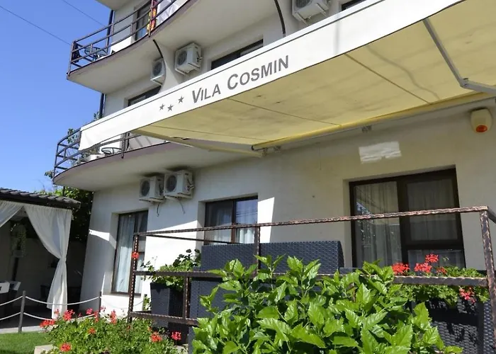 Vila Cosmin Costineşti