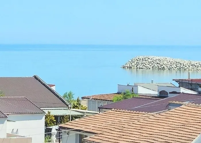 Vita De Vie Estival Costineşti